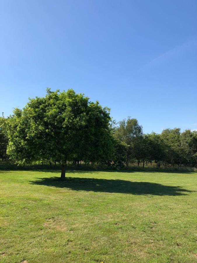 Meadows Barn Διαμέρισμα Τσέλμσφορντ Εξωτερικό φωτογραφία